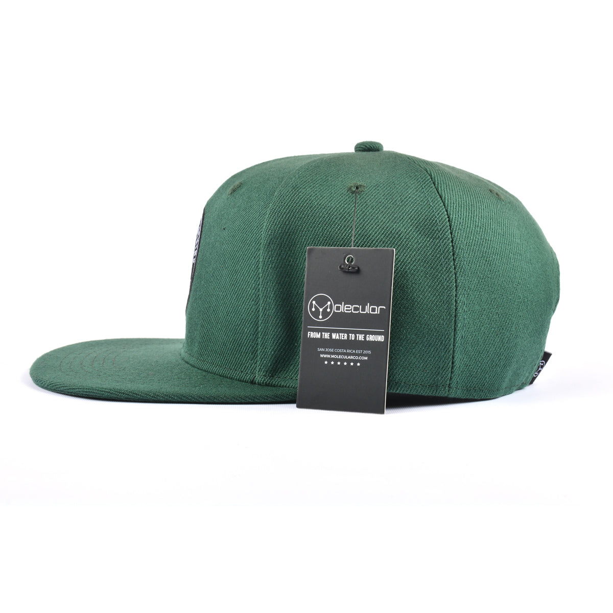 Molecular Clothing Snapback - Green