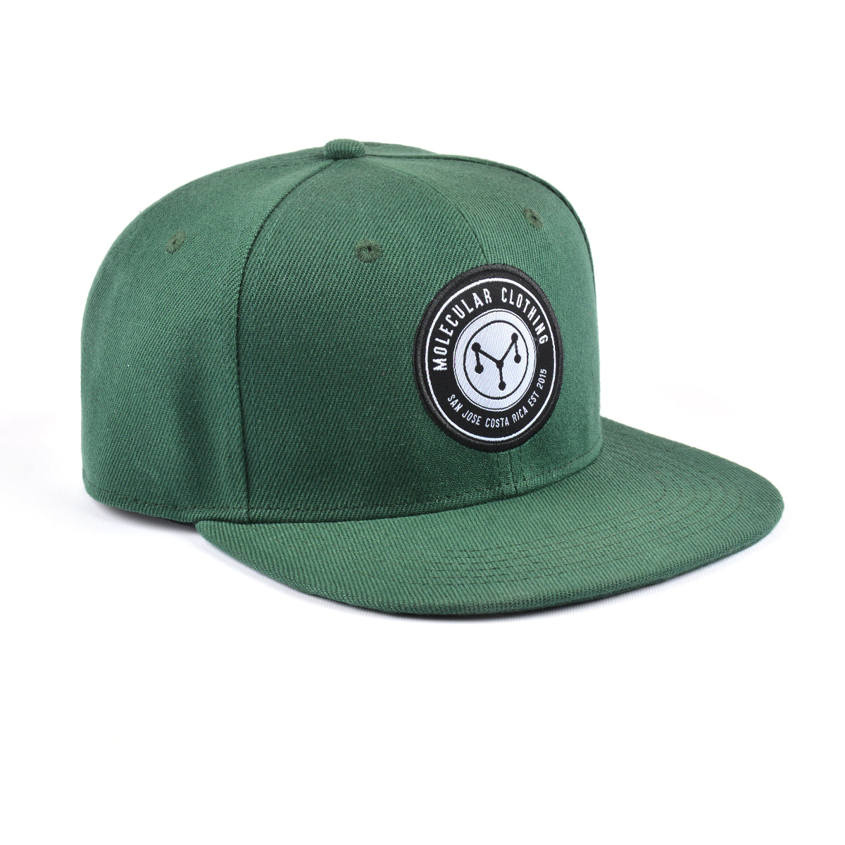 Molecular Clothing Snapback - Green