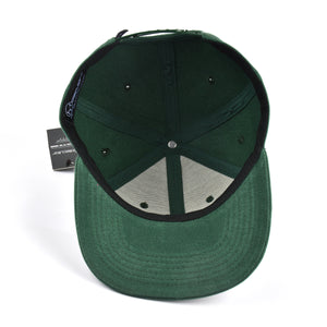 Molecular Clothing Snapback - Green