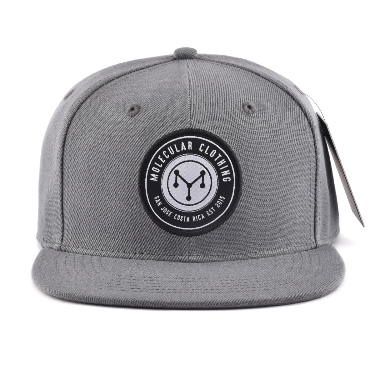 MOLECULAR CLOTHING SNAPBACK - SILVER