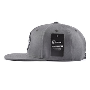 MOLECULAR CLOTHING SNAPBACK - SILVER