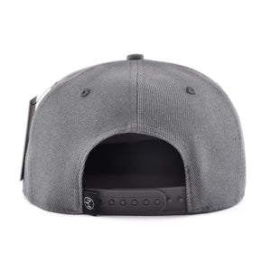 MOLECULAR CLOTHING SNAPBACK - SILVER